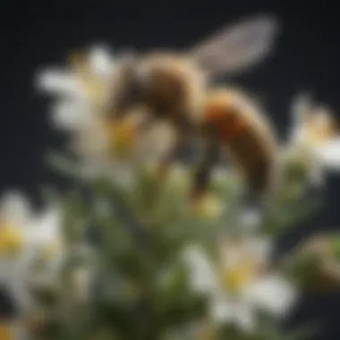 Bee pollinating a flowering plant