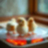 Innovative design of the heating plate