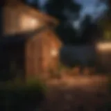 Solar-powered light illuminating a chicken coop at dusk