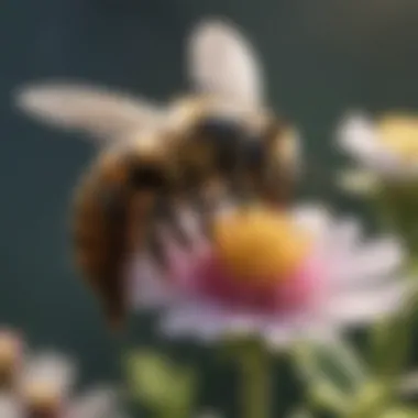 Close-up of a busy bee pollinating a flower