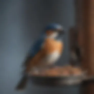 Diverse bird species enjoying grit from a feeder