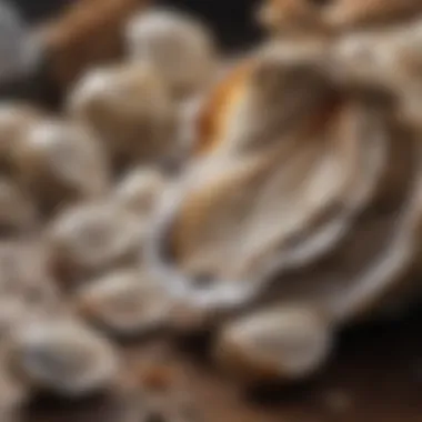 Farmers sourcing and selecting oyster shell supplements