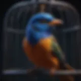 A vibrant bird perched under UV light in a well-designed cage