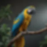 A vibrant blue and yellow macaw perched on a branch, showcasing its colorful feathers.