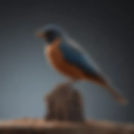 Various types of bird perches displayed for comparison