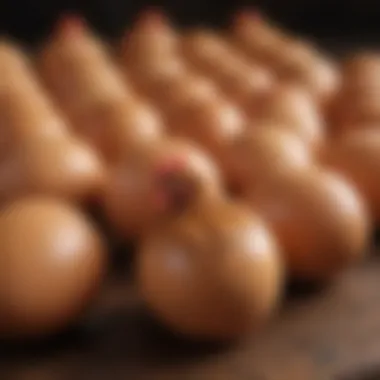 Diverse Breeds of Brown Egg Layers Different chicken breeds known for laying brown eggs