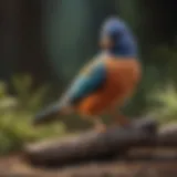 Colorful assortment of calcium sticks specifically designed for birds