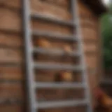 A well-constructed chicken coop ladder with multiple rungs leading to a roost.