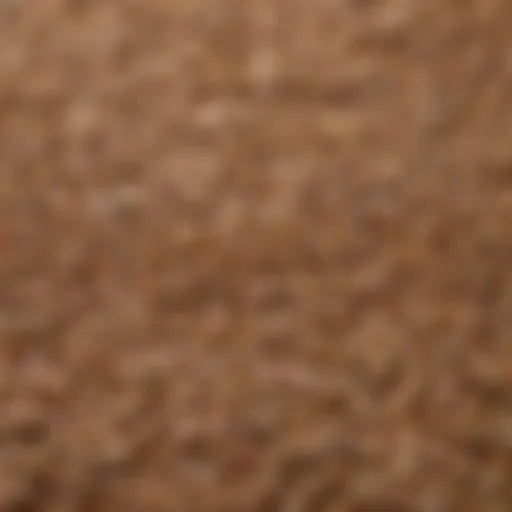 Close-up of assorted grains and seeds used in chicken scratch feed