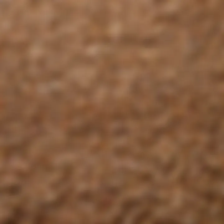 Close-up of assorted grains and seeds used in chicken scratch feed