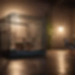 Spacious indoor duck cage setup