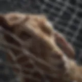 A close-up view of high-quality goat netting material showcasing its durability.