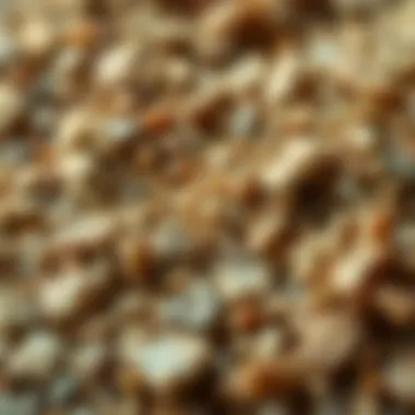 Close-up of Various Grit Types Close-up of different types of grit