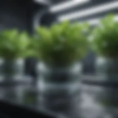 Varied Hydroponic Systems A diverse range of hydroponic systems illustrating varied methodologies.