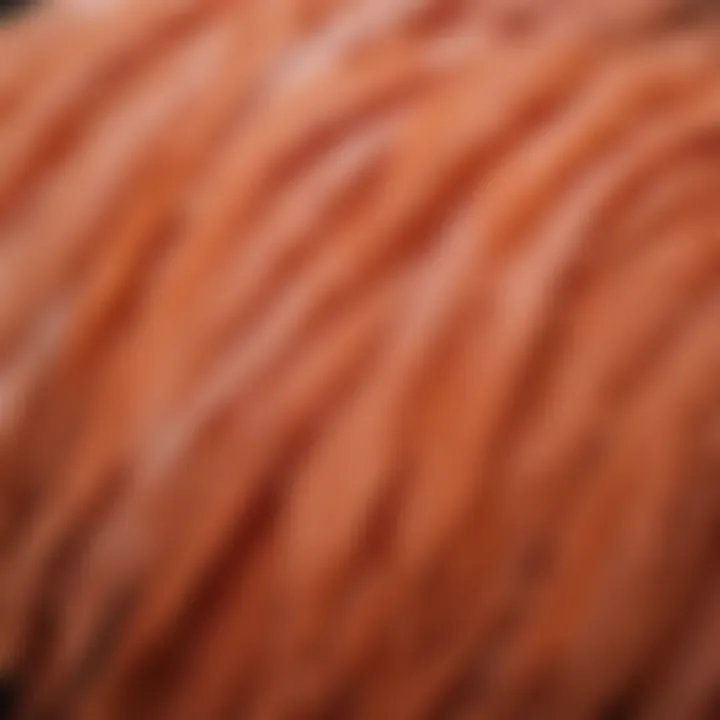 Detailed close-up of Salmon Faverolle feathers