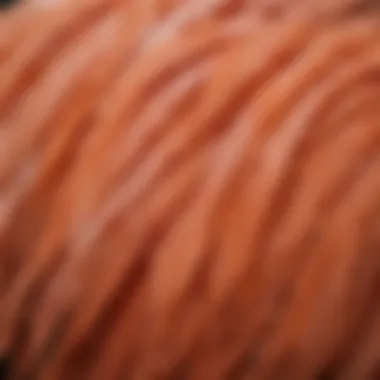 Close-up of Salmon Faverolle Feathers Detailed close-up of Salmon Faverolle feathers