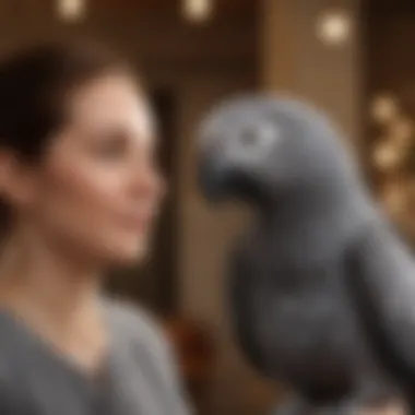 Building Connections with Your African Grey An African Grey Parrot engaging with its owner, highlighting the bond through interactive play.