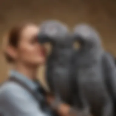 The Joy of Companionship with African Greys An African Grey Parrot perched on a shoulder, depicting companionship and trust between pet and owner.