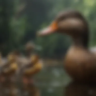 Diversity of Duck Species and Their Diets Different species of ducks showcasing their unique feeding behaviors.