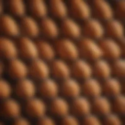 A close-up view of chicken wire showcasing its texture and grid pattern.