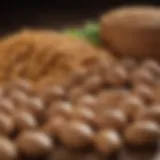 An infographic detailing the importance of carbohydrates in pet nutrition