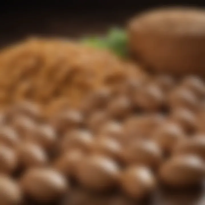An infographic detailing the importance of carbohydrates in pet nutrition