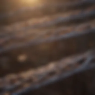 Close-up of electric fence wire used for chicken coops
