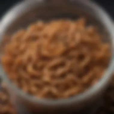 Live Mealworms Available for Purchase A vibrant display of live mealworms in a container.