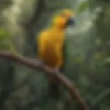 Yellow-Naped Amazon Parrot perched on a branch